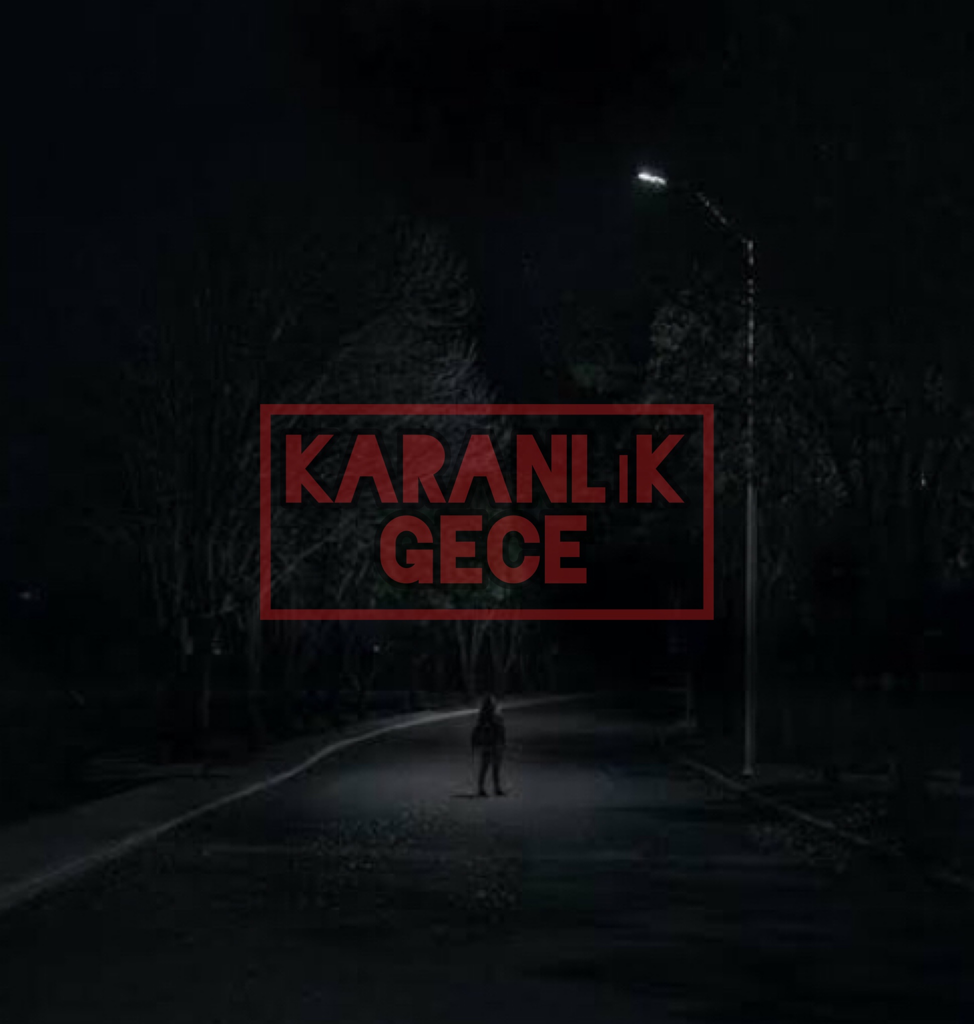 Emir Hamzaoğlu / Karanlik Gece